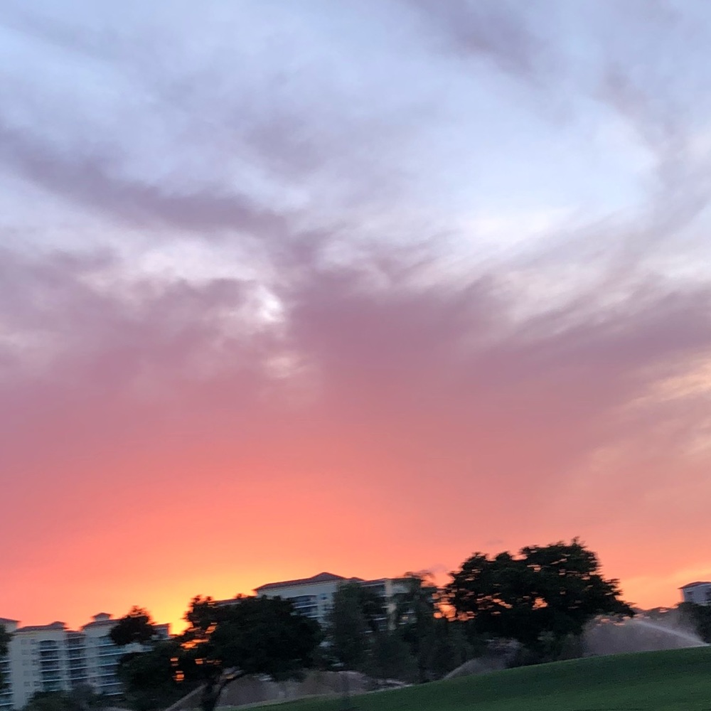 Meet your Posher, Lena